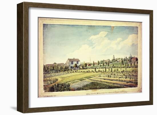 William Curtis's Botanic Garden, Lambeth Marsh, Ante 1787, C.1787-James Sowerby-Framed Giclee Print