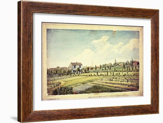 William Curtis's Botanic Garden, Lambeth Marsh, Ante 1787, C.1787-James Sowerby-Framed Giclee Print