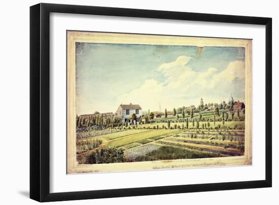 William Curtis's Botanic Garden, Lambeth Marsh, Ante 1787, C.1787-James Sowerby-Framed Giclee Print