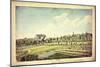 William Curtis's Botanic Garden, Lambeth Marsh, Ante 1787, C.1787-James Sowerby-Mounted Giclee Print