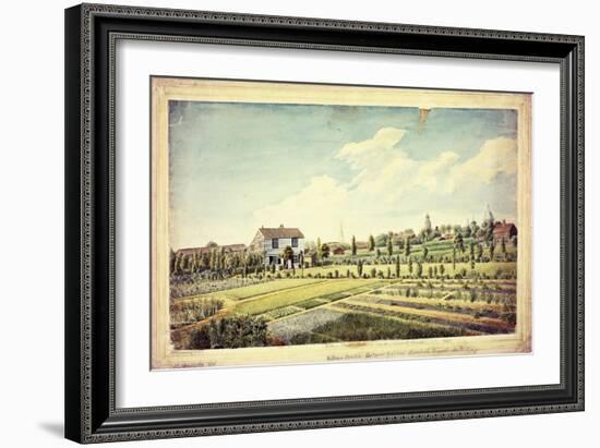 William Curtis's Botanic Garden, Lambeth Marsh, Ante 1787, C.1787-James Sowerby-Framed Giclee Print