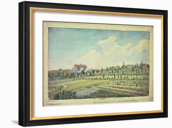 William Curtis's Botanic Gardens, Lambeth Marsh, C.1787-James Sowerby-Framed Giclee Print