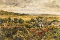 Junction of the Liffey and Rye near Leixlip, 1857 (Oil on Canvas)-William Davis-Framed Giclee Print