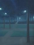 Nocturne au Parc Royal de Bruxelles-William Degouve De Nuncques-Framed Giclee Print
