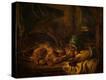 Stretched Canvas Print