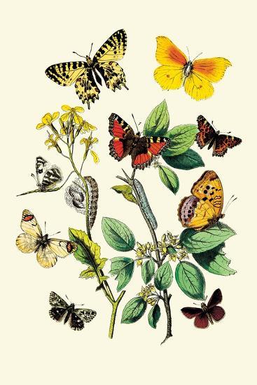 Art Print, , large