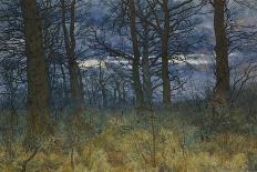 The Wood at Dusk, 1884-William Fraser Garden-Giclee Print