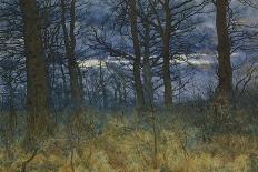 The Wood at Dusk, 1884-William Fraser Garden-Giclee Print