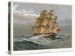 Stretched Canvas Print