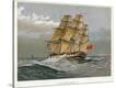 Stretched Canvas Print