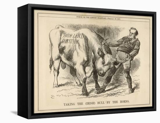 William Gladstone Taking the (Irish) Bull by the Horns-John Tenniel-Framed Stretched Canvas