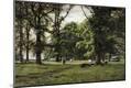 Premium Giclee Print