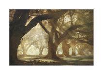 Oak and Fence-William Guion-Photographic Print