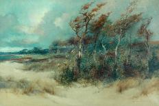 Trees in a Sandy Lane, Heysham, 1916-William H. Parkinson-Framed Giclee Print