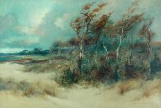 Trees in a Sandy Lane, Heysham, 1916-William H. Parkinson-Giclee Print