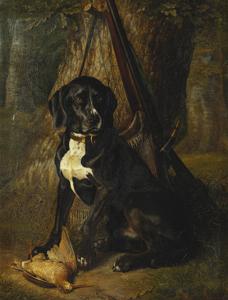 A Gun Dog with a Woodcock by William		 Hammer