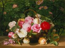 Basket of Roses, 1879-William Hammer-Giclee Print