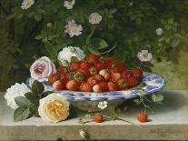 Strawberries in a Blue and White Buckelteller with Roses and Sweet Briar on a Ledge-William Hammer-Giclee Print