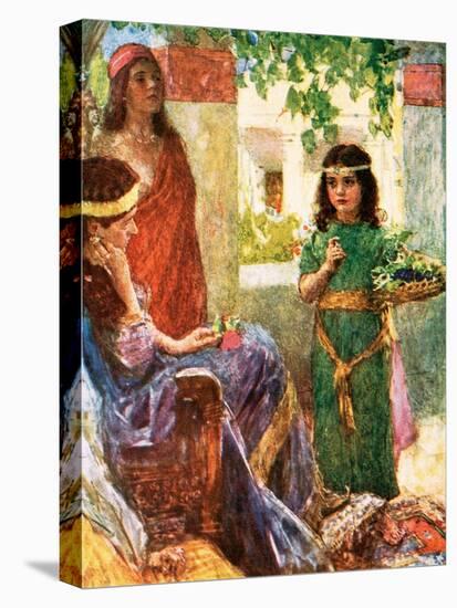 Stretched Canvas Print, , large