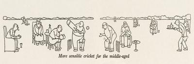 Cricket for the Middle-Aged-William Heath Robinson-Art Print