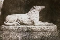 Effigy of Sir Walter Scott's Favourite Dog, Maida-William Henry Fox Talbot-Framed Giclee Print