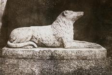 Effigy of Sir Walter Scott's Favourite Dog, Maida-William Henry Fox Talbot-Framed Giclee Print