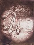 Fronds of Leaves-William Henry Fox Talbot-Photographic Print