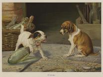 Puppies Sleeping-William Henry Hamilton Trood-Giclee Print