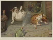 Puppies Sleeping-William Henry Hamilton Trood-Framed Giclee Print
