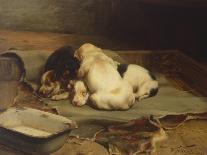 Give a Dog a Bone, 1888-William Henry Hamilton Trood-Giclee Print