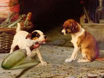 Puppies Sleeping-William Henry Hamilton Trood-Framed Giclee Print