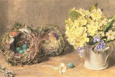 Bird's Nest with Sprays of Apple Blossoms-William Henry Hunt-Giclee Print