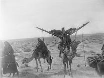 Ajman Bedouin on the Move (With Women's Litter, Hawdaj) Near Thaj, Saudi Arabia, 13th March 1911-William Henry Irvine Shakespear-Photographic Print