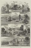 Gardens on the Thames Embankment-William Henry Pike-Framed Giclee Print