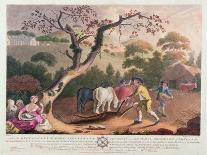View of Ploughing, Sowing Flax Seed and Harrowing, 1791-William Hincks-Framed Giclee Print