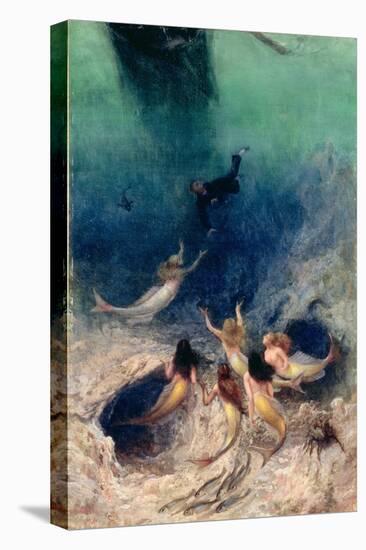 Stretched Canvas Print, , large
