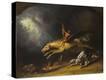 Stretched Canvas Print