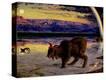 Stretched Canvas Print