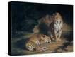Stretched Canvas Print