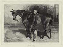 A Brown Study, 1853-William Huggins-Giclee Print