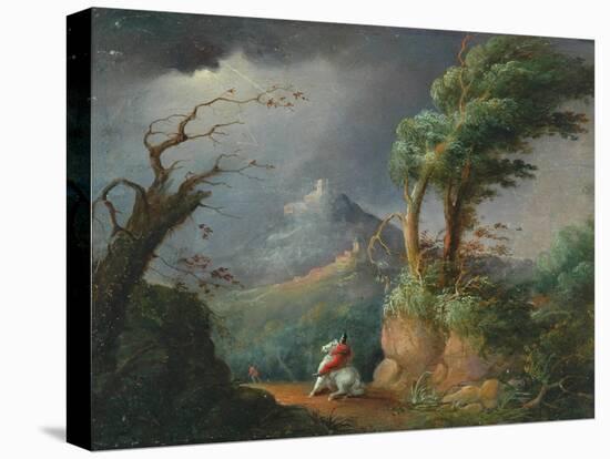 Stretched Canvas Print, , large