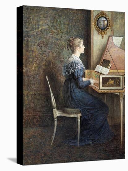 Stretched Canvas Print, , large