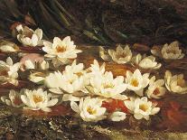 Waterlilies-William Jabez Muckley-Framed Giclee Print