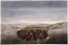 A Herd of Bisons Crossing a River Bottom on the Upper Missouri-William Jacob Hays-Giclee Print