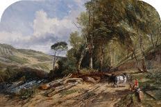 A Wooded Landscape, 1844 (Oil on Canvas)-William James Muller-Giclee Print