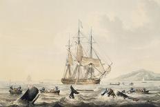 South Sea Whale Fishery, Engraved by T. Sutherland, 1825-William John Huggins-Giclee Print