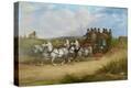 Stretched Canvas Print