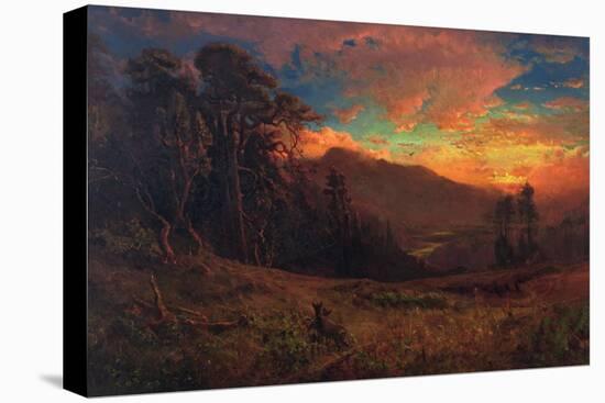 Stretched Canvas Print, , large
