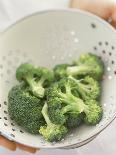 Freshly Washed Broccoli Florets in Sieve-William Lingwood-Photographic Print