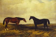 The Earl of Granards's Bright Bay Filly and Dark Bay Stallion Standing in an Extensive Landscape-William Luker-Giclee Print